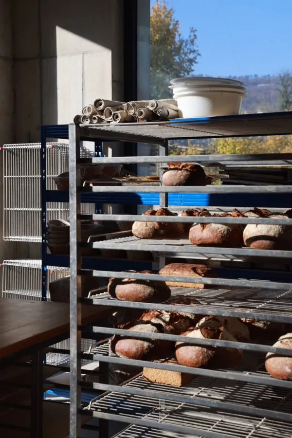 Logo Bell N Bread propose un nouveau concept de boulangerie